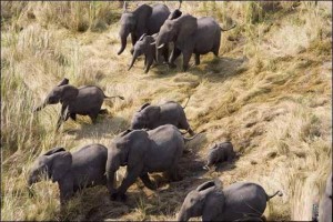 travel_tours_images_1340073428_113